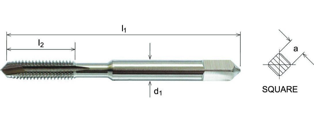   SOMTA - HSS GUN NOSE TAP BSW (STANDARD)