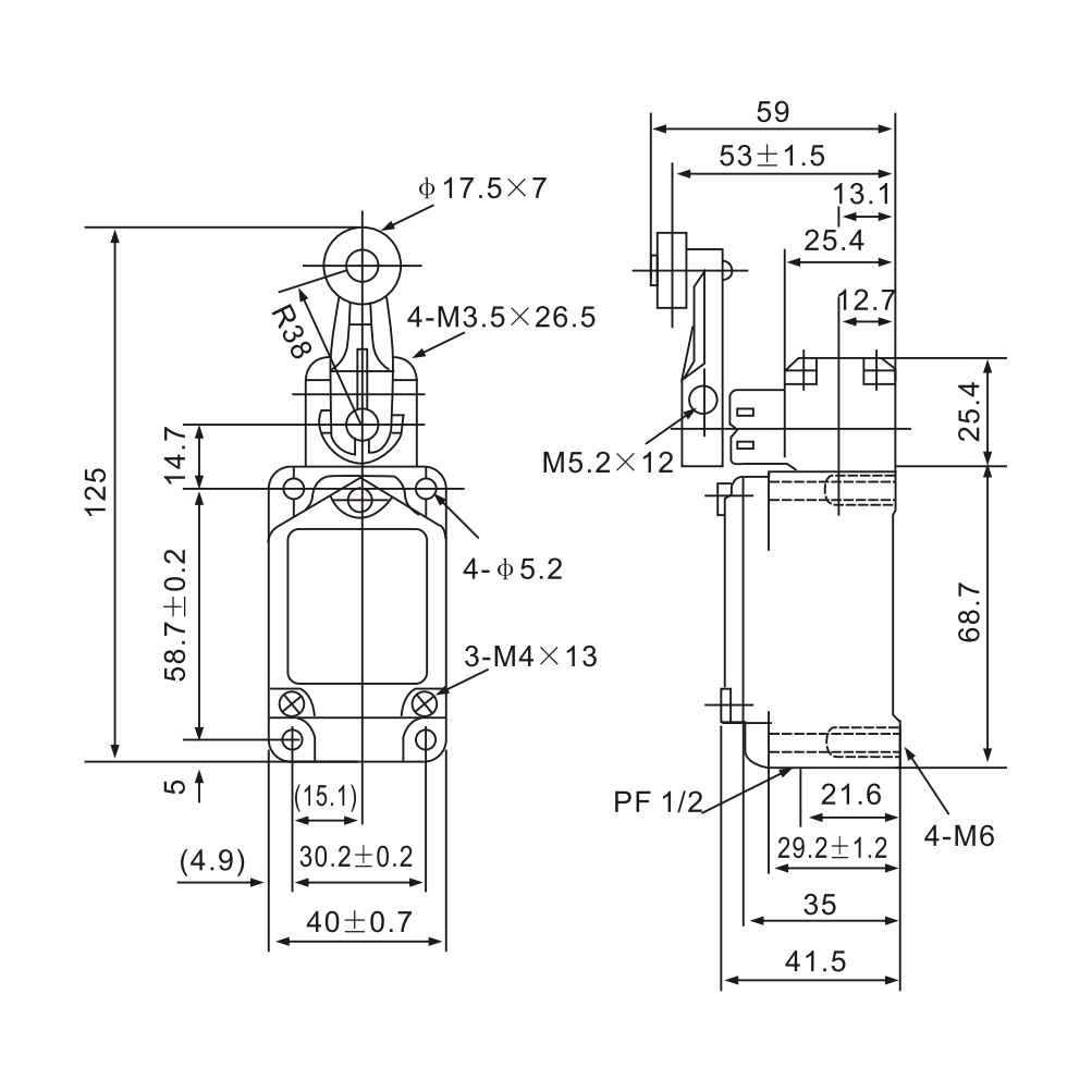 WLCA2-2 Micro Limit Switch with Adjustable Lever Roller Arm Diagram