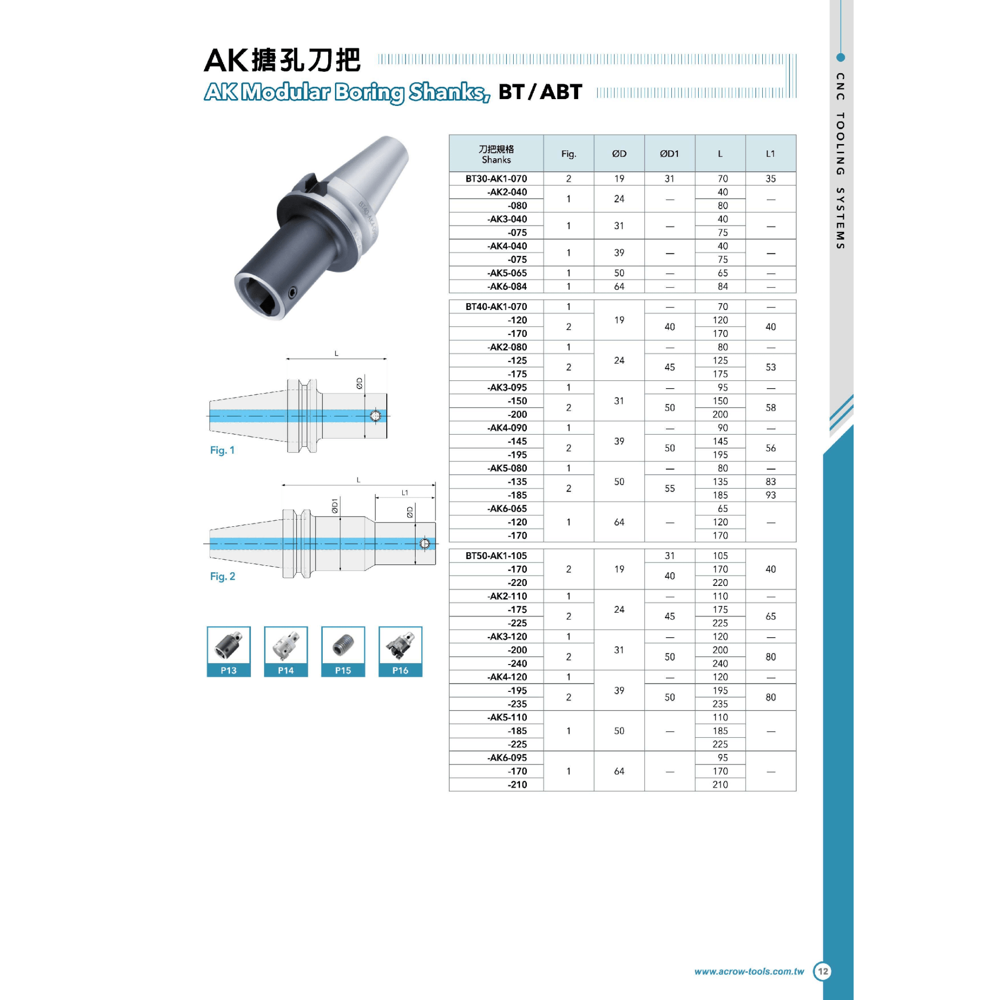 Acrow BT40-AK3-095 – AK Boring Shank Ø31mm, 95mm - Twin Eagle Imports