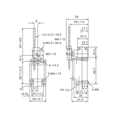 WLCL Adjustable Rod Lever Limit Switch - Twin Eagle Imports