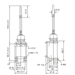 WLNJ-2 Plastic Rod Cover Limit Switch - Twin Eagle Imports