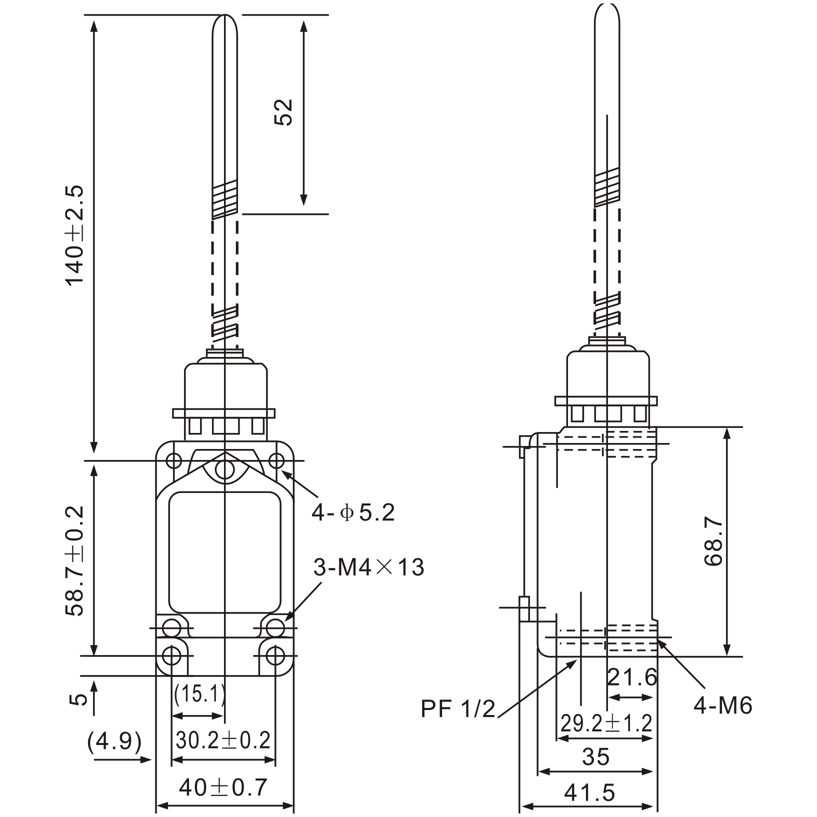 WLNJ-30 Stainless Steel Coil Spring Lever Limit Switch - Twin Eagle Imports