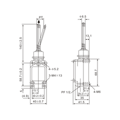 WLNJ Stainless Steel Spring Limit Switch - Twin Eagle Imports