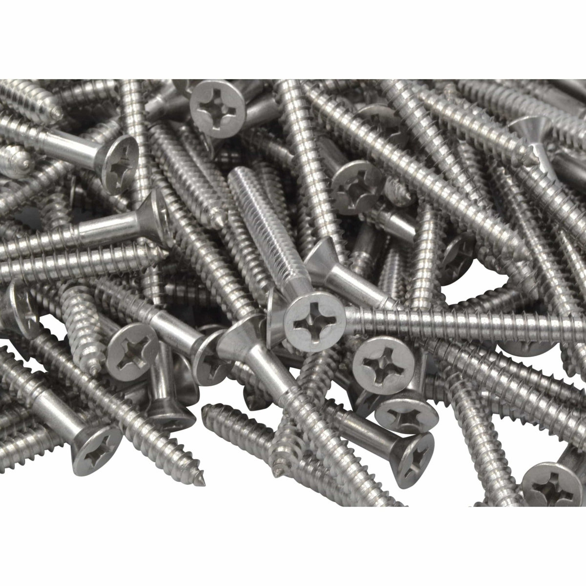 x1000 304 Stainless Steel 12G x 63mm Wood Screws Grab Kit - Twin Eagle Imports