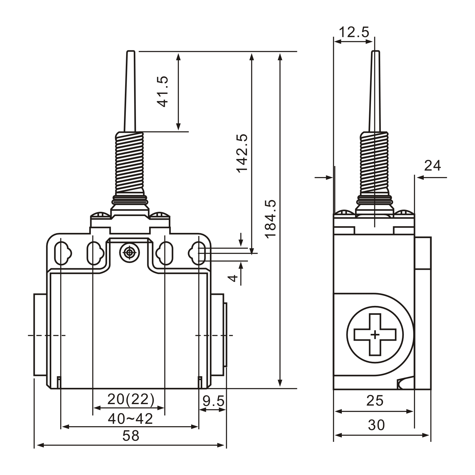 XCK-T171 Spring Rod Lever Limit Switch - Twin Eagle Imports